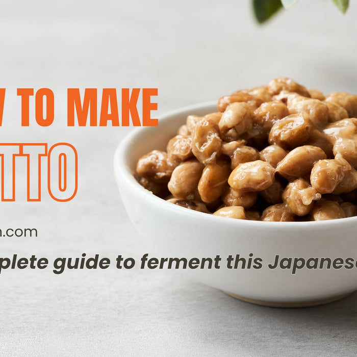 DIY Japanese Cuisine: How to Make Natto for Unique Flavors