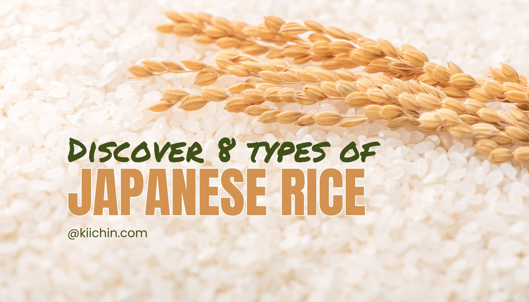 8 Types of Japanese Rice & Their Best Uses in Japanese Dishes