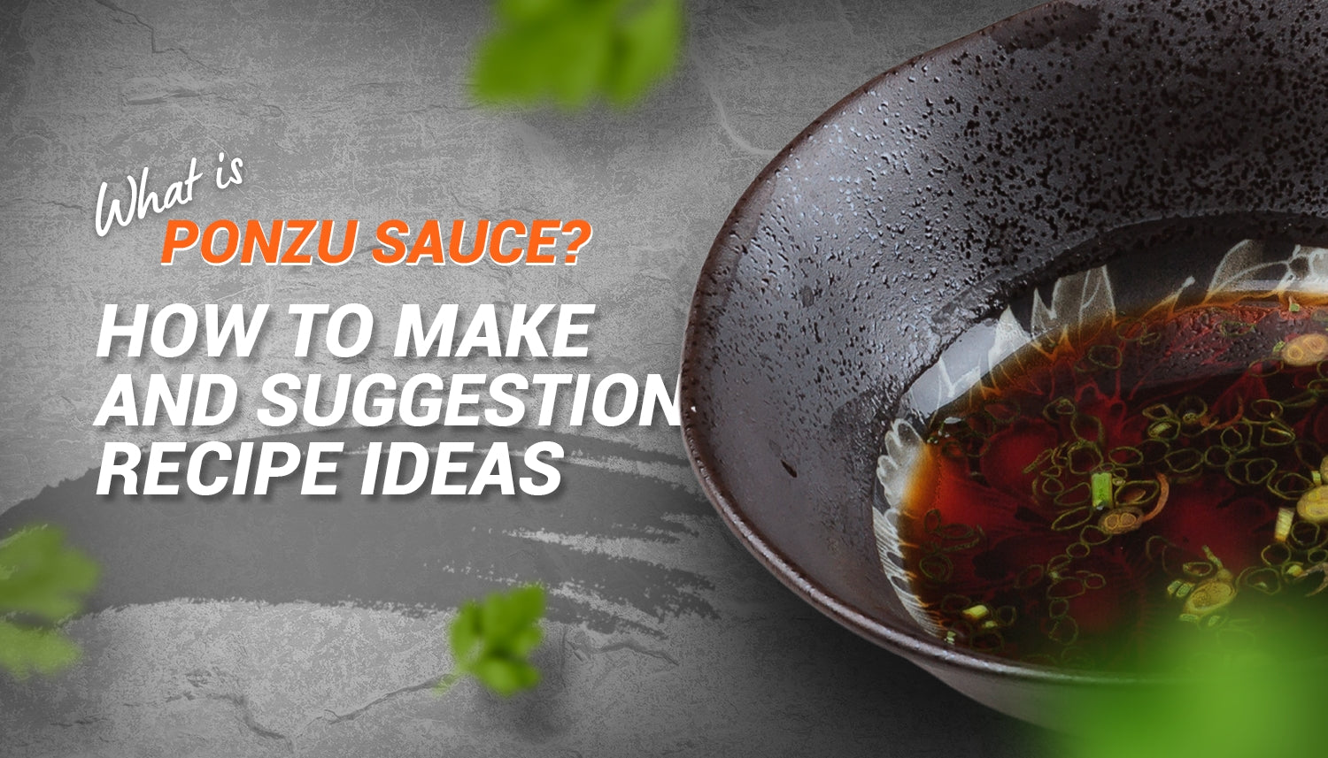 What is Ponzu Sauce? How to Make and Suggestion Recipe Ideas