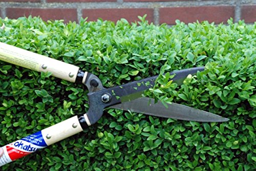 Okatsune 217 Hedge Shears 60cm Short Handle 7744Ai Efficient Trimming Tool