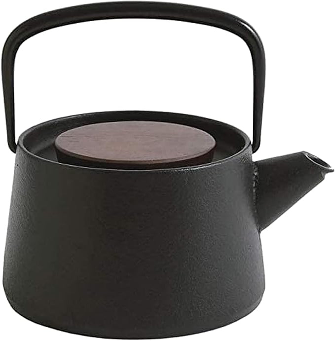 Ikenaga Tetu Nambu Cast Iron Teapot - Authentic Tetsukyusu for Tea Lovers