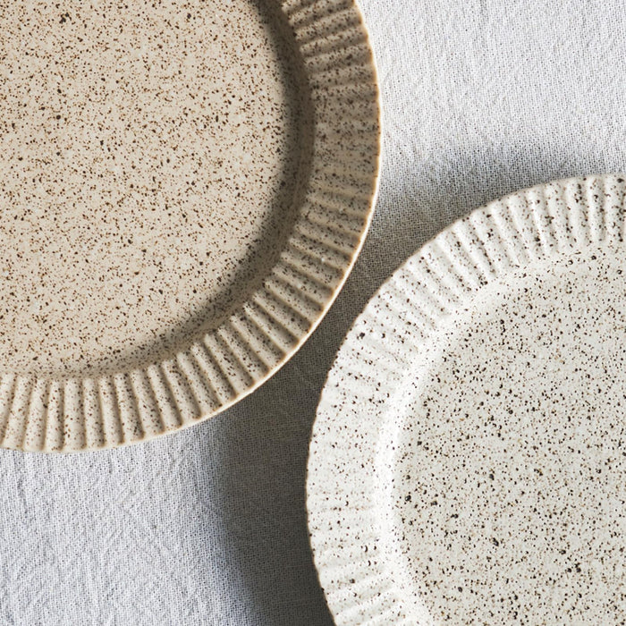 Aito Seisakusho Conti Earthen Texture Curry Pasta Plate 24cm Mino Ware Safe