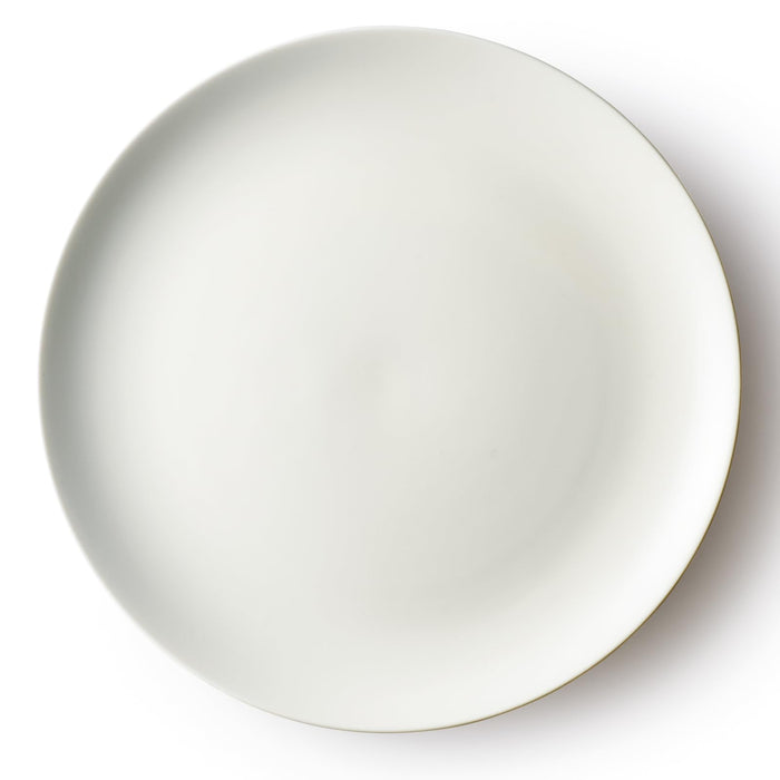 Aito Couleur Ivory Plate 24cm Mino Ware Microwave Dishwasher Safe Japan Made