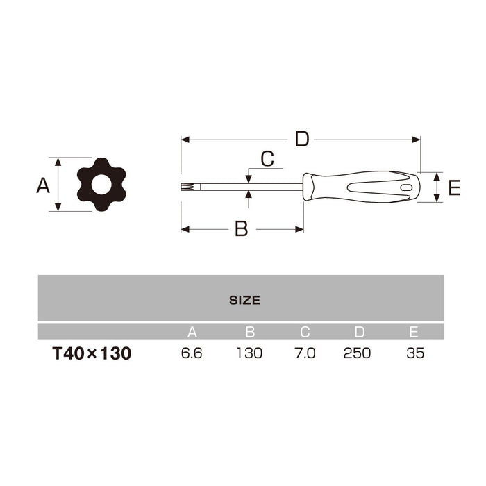 Anex T40X130 Driver Hex Lobe with Holes No.6300