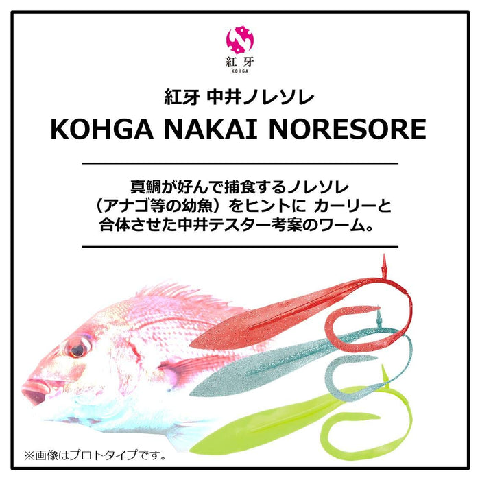 Daiwa Kouga Nakai Noresore 12 英寸浅蓝色高性能钓竿