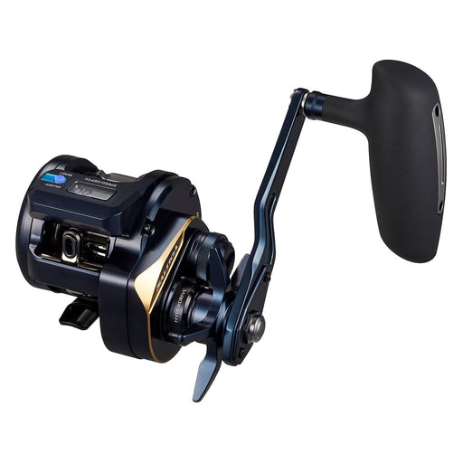 baitcasting reel for jigging Daiwa Fishing Casting Reels 25 Saltiga IC 300HL-SJ-C (t)