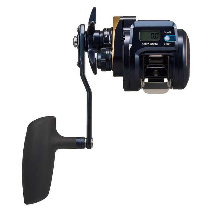 baitcasting reel for jigging Daiwa Fishing Casting Reels 25 Saltiga IC 300HL-SJ-C (t)