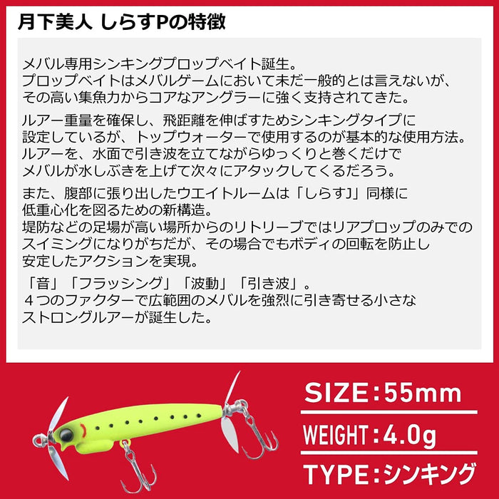 Daiwa Moonflower Shirasu P 55S Gingira Chart 魚餌