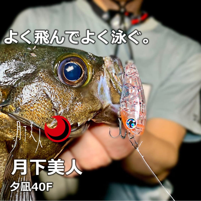 Daiwa Rockfishing Drift Keimura Hollowfish Moonflower Yunagi 40F Lure