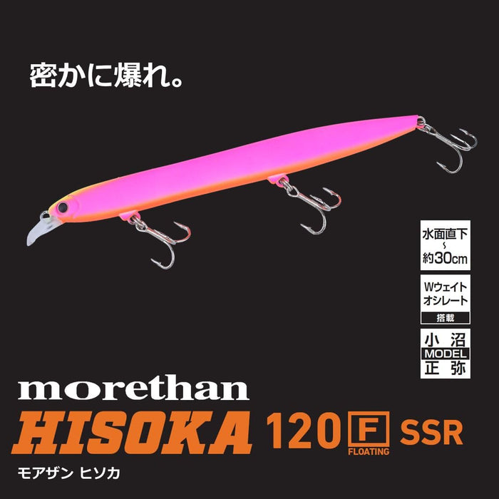 Daiwa Sea Bass Lure Morethan Hisoka 120F SSR Adel Chartback Blackberry