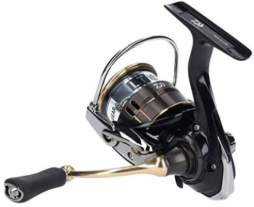 Daiwa 19 Ballistic Lt2500Ss Cxh Spinning Reel 2019 Model-Kiichin - The #1 Place for Japanese Goods in Your Hand!