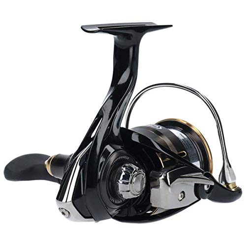 DAIWA 19 Ballistic LT3000S-CXH DAIWA 19 Ballistic LT3000S-CXH
