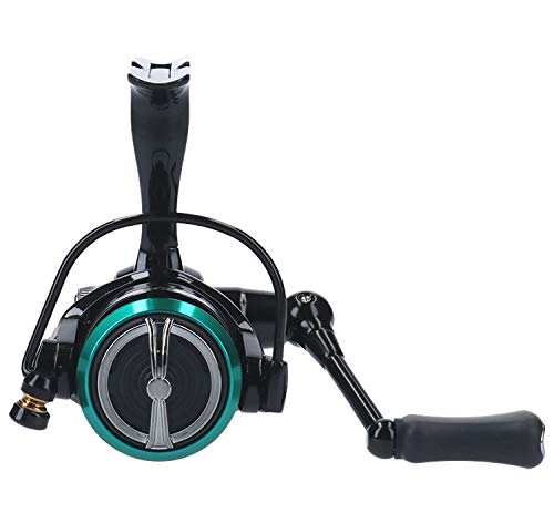 Daiwa Spinning Reel Mr 750 2019 Model High-Performance Fishing Reel-Kiichin - The #1 Place for Japanese Goods in Your Hand!