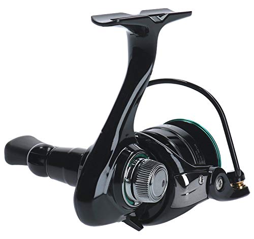 Daiwa Spinning Reel Mr 750 2019 Model High-Performance Fishing Reel-Kiichin - The #1 Place for Japanese Goods in Your Hand!