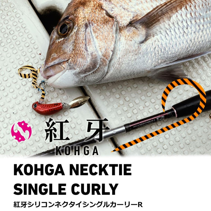 Daiwa Tairaba 領帶 Kouga 矽膠單捲 Glorame 章魚腿