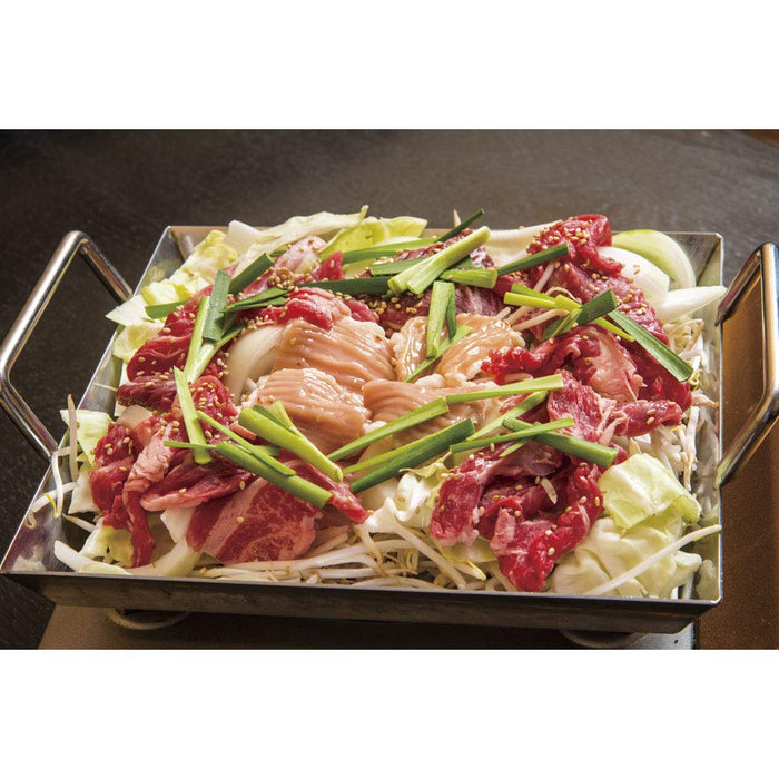 Endo Shoji 27cm Stainless Steel Commercial Dustpan with Legs Made in Japan-Kiichin - The #1 Place for Japanese Goods in Your Hand!