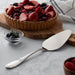 Endo Shoji 18-12 Stainless Steel Cake Server - Commercial Grade Japan Made-Kiichin - The #1 Place for Japanese Goods in Your Hand!