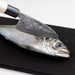 Endo Shoji 12Cm Single-Edged Tkg Knife for Horse Mackerel - Sharp Steel-Kiichin - The #1 Place for Japanese Goods in Your Hand!