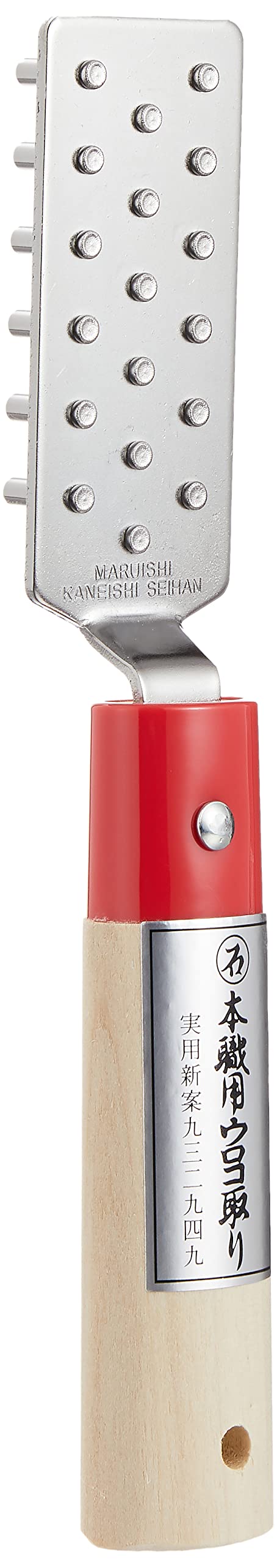 Endo Shoji 215mm Iron Scale Remover with Easy Grip Wooden Handle-Kiichin - The #1 Place for Japanese Goods in Your Hand!