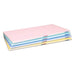 Hasegawa Wood Core PE Lightweight Cutting Board 500x250mm - Blue - 18mm-Kiichin - The #1 Place for Japanese Goods in Your Hand!