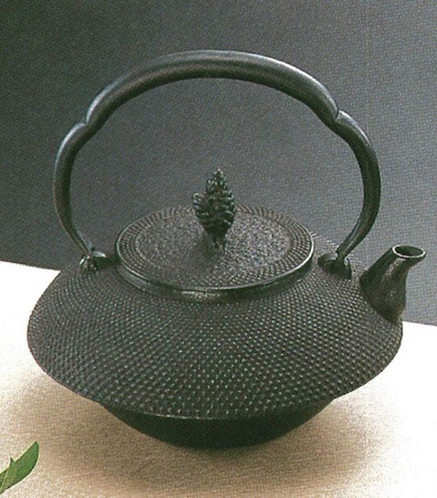 Iwachu Iron Teapot Black Finish 1.2L Durable Japanese Design 11939-Kiichin - The #1 Place for Japanese Goods in Your Hand!