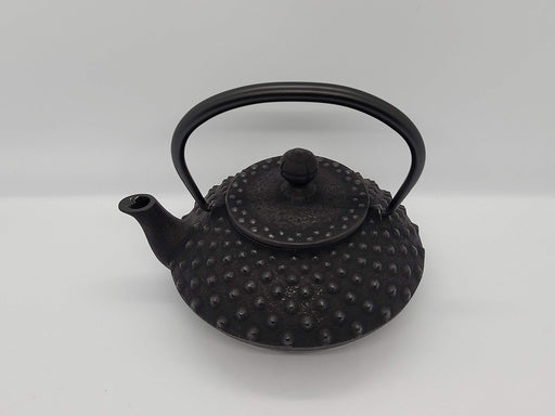 Iwachu Teapot 0.35L Black Enameled Nambu Ironware Arare Design 12041-Kiichin - The #1 Place for Japanese Goods in Your Hand!