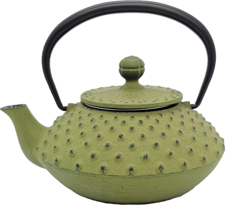 Iwachu Teapot 0.35L Flat Arare Wakakusa Enamel Interior Nambu Ironware-Kiichin - The #1 Place for Japanese Goods in Your Hand!