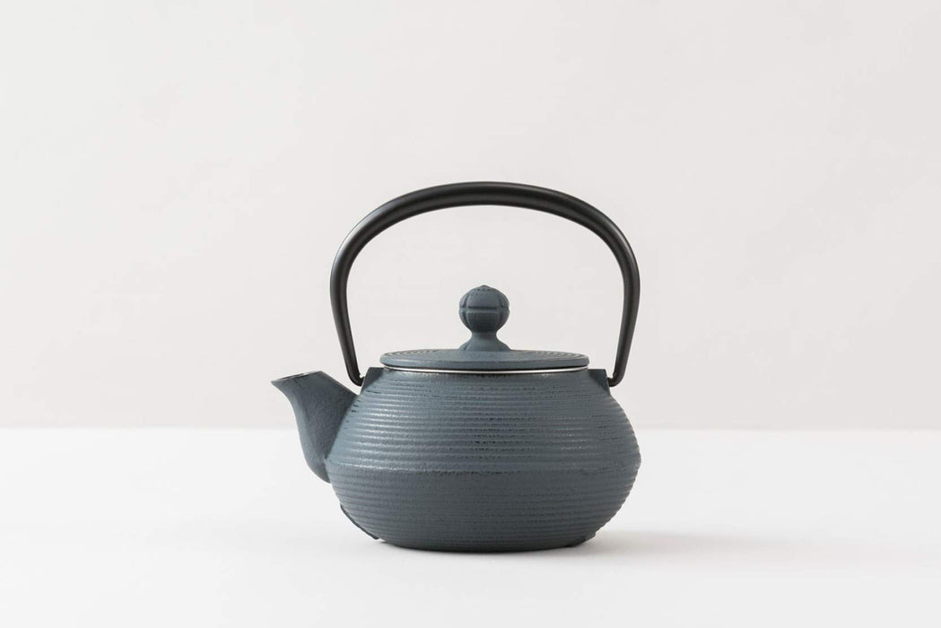 Iwachu 0.32L Nambu Ironware Teapot Damman Blue Enameled Inside-Kiichin - The #1 Place for Japanese Goods in Your Hand!
