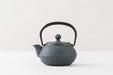 Iwachu 0.32L Nambu Ironware Teapot Damman Blue Enameled Inside-Kiichin - The #1 Place for Japanese Goods in Your Hand!