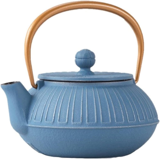 Iwachu Nambu Ironware Teapot 0.65L Chrysanthemum Design Silver Sky Blue-Kiichin - The #1 Place for Japanese Goods in Your Hand!