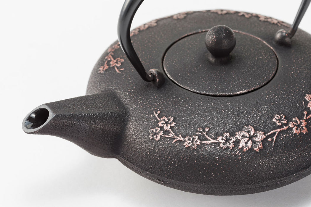 Iwachu Nambu Ironware Teapot 0.6L Japanese Sakura Silver/Black Enameled-Kiichin - The #1 Place for Japanese Goods in Your Hand!