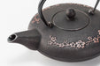 Iwachu Nambu Ironware Teapot 0.6L Japanese Sakura Silver/Black Enameled-Kiichin - The #1 Place for Japanese Goods in Your Hand!