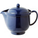 Nagao Secchu 480Ml Navy Unbreakable Plastic Teapot Dishwasher Microwave Safe-Kiichin - The #1 Place for Japanese Goods in Your Hand!