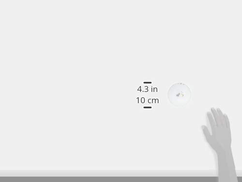 Narumi Bremen Kids Rice Bowl Reinforced Heat-Resistant Porcelain 7980-3321-Kiichin - The #1 Place for Japanese Goods in Your Hand!