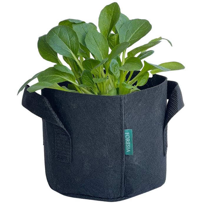Foresia Non-Woven Fabric Planter 1 Gallon Pack of 5 for Home Garden-Kiichin - The #1 Place for Japanese Goods in Your Hand!