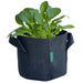 Foresia Non-Woven Fabric Planter 1 Gallon Pack of 5 for Home Garden-Kiichin - The #1 Place for Japanese Goods in Your Hand!