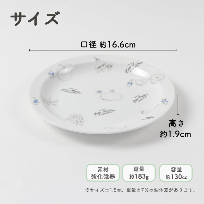 Ogiso Kawaii Dinner Plate 10 Inch - Model 11747610B100-Kiichin - The #1 Place for Japanese Goods in Your Hand!