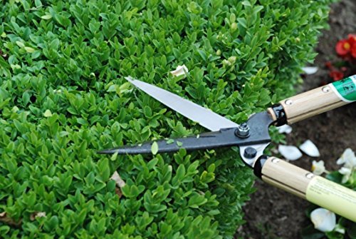 Okatsune Type 55 Hedge Shears Precision-Ground Blades Quality Pruning Tool