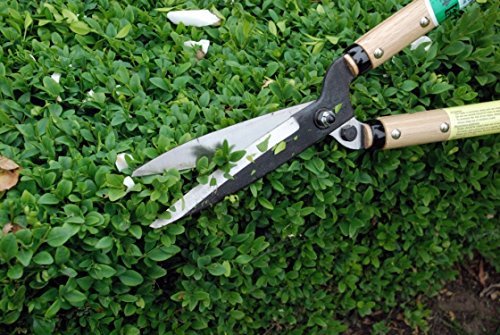 Okatsune Type 55 Hedge Shears Precision-Ground Blades Quality Pruning Tool