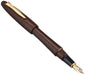 Platinum Izumo Tetsutoki Bold Fountain Pen with Matte Finish and Dual-Use Converter-Kiichin - The #1 Place for Japanese Goods in Your Hand!