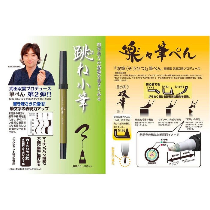 白金钢笔 竹田宗云老竹色双头笔泼墨小装 36支