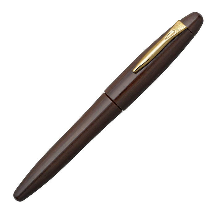 Platinum Izumo Tetsutogi Gloss B Bold Fountain Pen Piz-50000T 21-4 Dual-Use-Kiichin - The #1 Place for Japanese Goods in Your Hand!