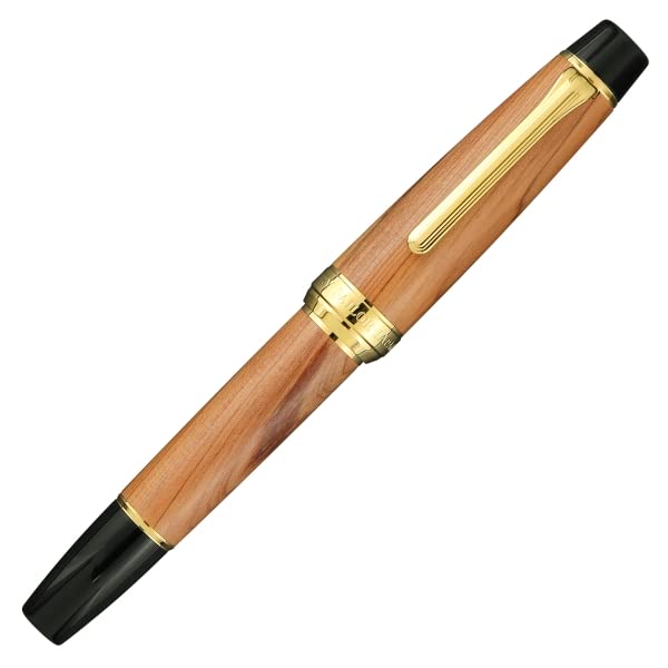 Sailor Fountain Pen Medium Point Limited Edition Hiroshima Factory Completion Commemorative Kaiduka Ibuki 10-8072-401