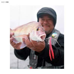 Shimano Engetsu Fish Attracting Tie Squid Octopus Keimura Ole G Lame Ew-004N