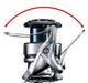 Shimano 19 Stradic 3000Mhg Sea Bass Spinning Reel Sakuramasu Model-Kiichin - The #1 Place for Japanese Goods in Your Hand!