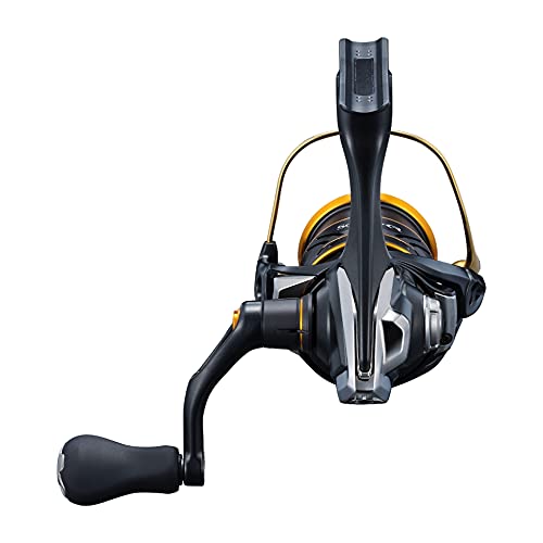 Shimano Soare XR C2000Sshg Spinning Reel for Ajing and