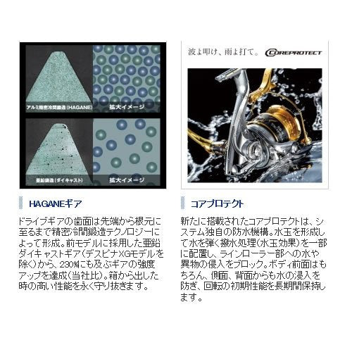 Shimano BB-X Despina C3000D Type-G Spinning Reel 16 Iso-Kiichin - The #1 Place for Japanese Goods in Your Hand!