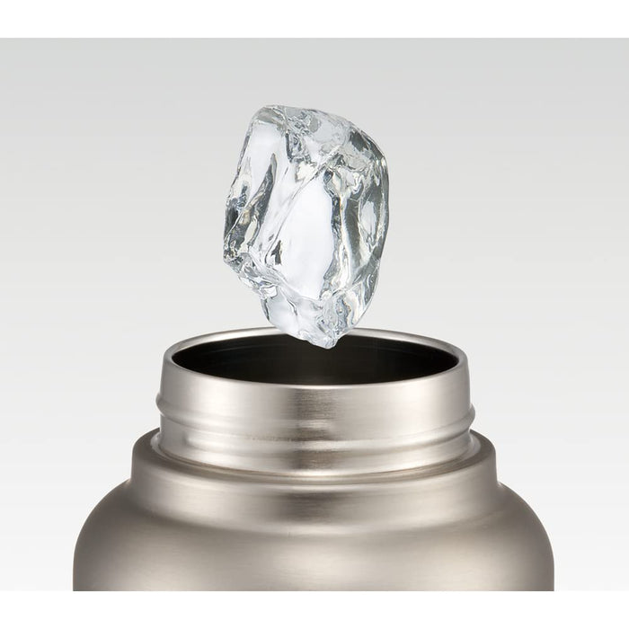 Skater 1000ml Stainless Steel Water Bottle with Handle Silver