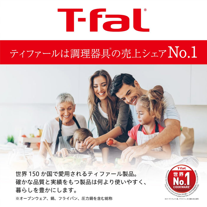 T-Fal Cast Iron Cocotte Pot 20Cm Sage Green - Non-Stick IH & Gas Compatible-Kiichin - The #1 Place for Japanese Goods in Your Hand!