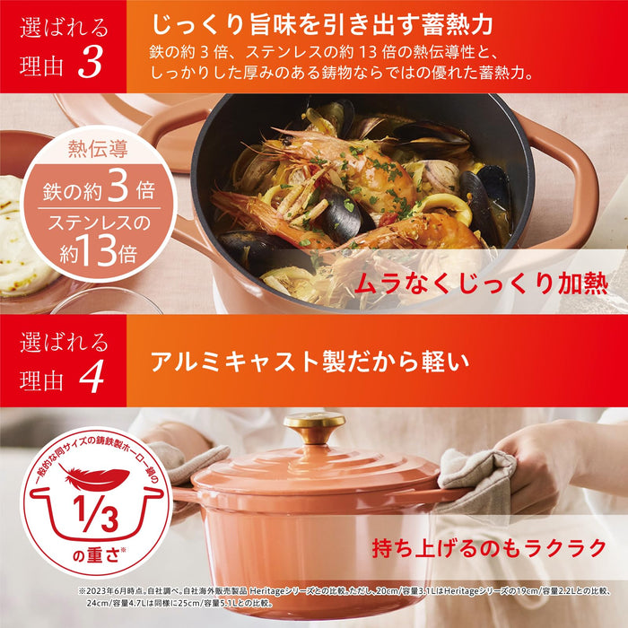 T-Fal Cast Iron Cocotte Pot 20Cm Sage Green - Non-Stick IH & Gas Compatible-Kiichin - The #1 Place for Japanese Goods in Your Hand!